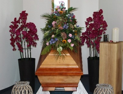 Bild1