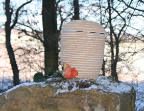 Bild2