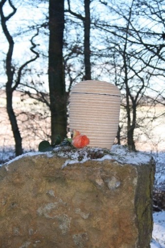 Bild5
