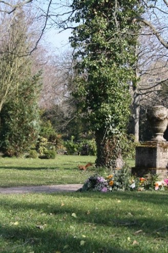 Bild8